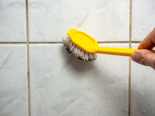 Best Mold Removal Near Me  in Milford, NE