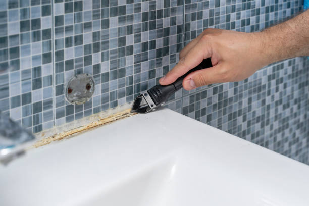 Best Local Mold Removal Service  in Milford, NE